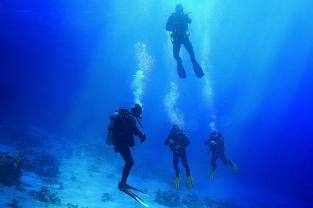 Marino Ballena National Park Scuba Diving