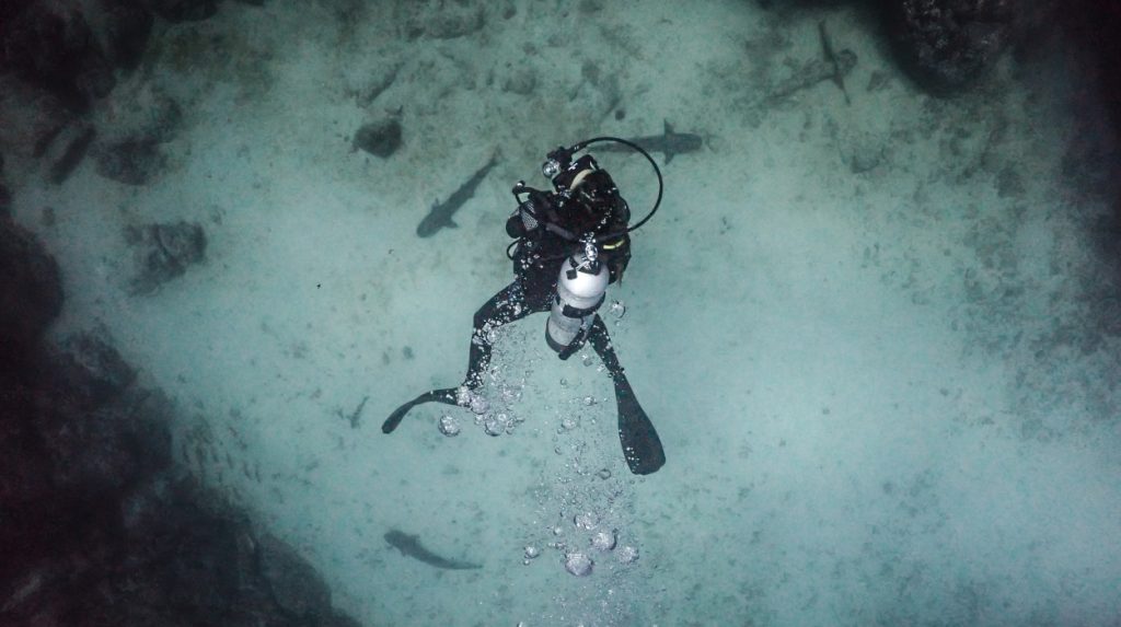 Diver going down at Caño Island