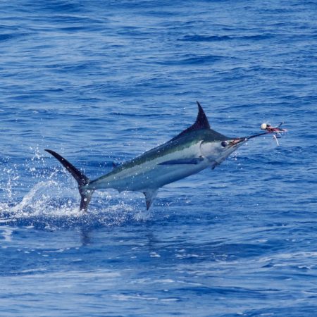 Full Day Offshore Fishing Tour from Uvita
