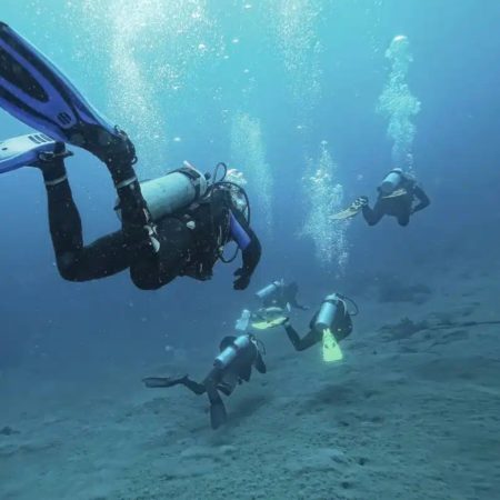 Diving in Golfito Costa Rica