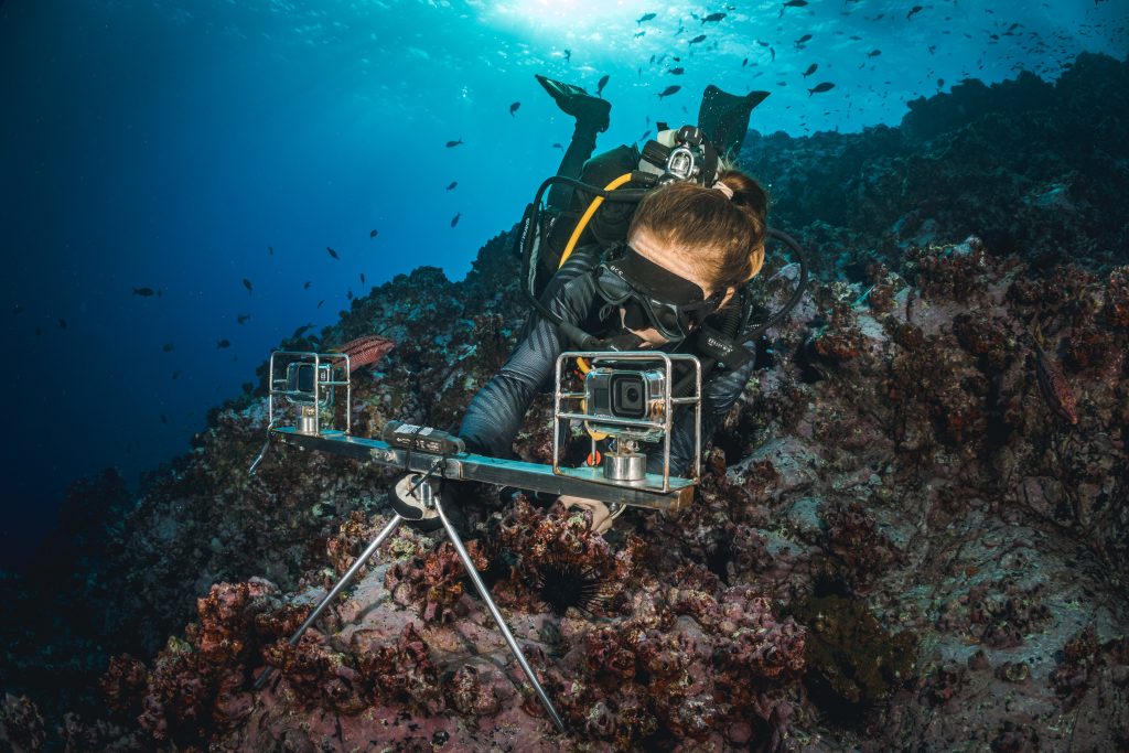 Diver expertly deploying underwater cameras at the bottom of the sea.