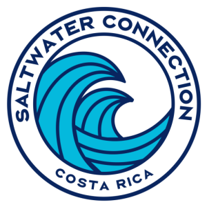 cropped-Logo-SC-PNG.png saltwater connection logo