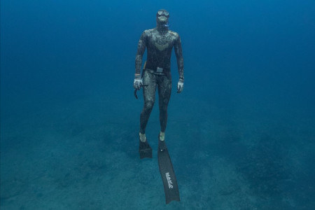 A freediver ascending gracefully towards the water's surface, surrounded by the captivating blue hues of the ocean.