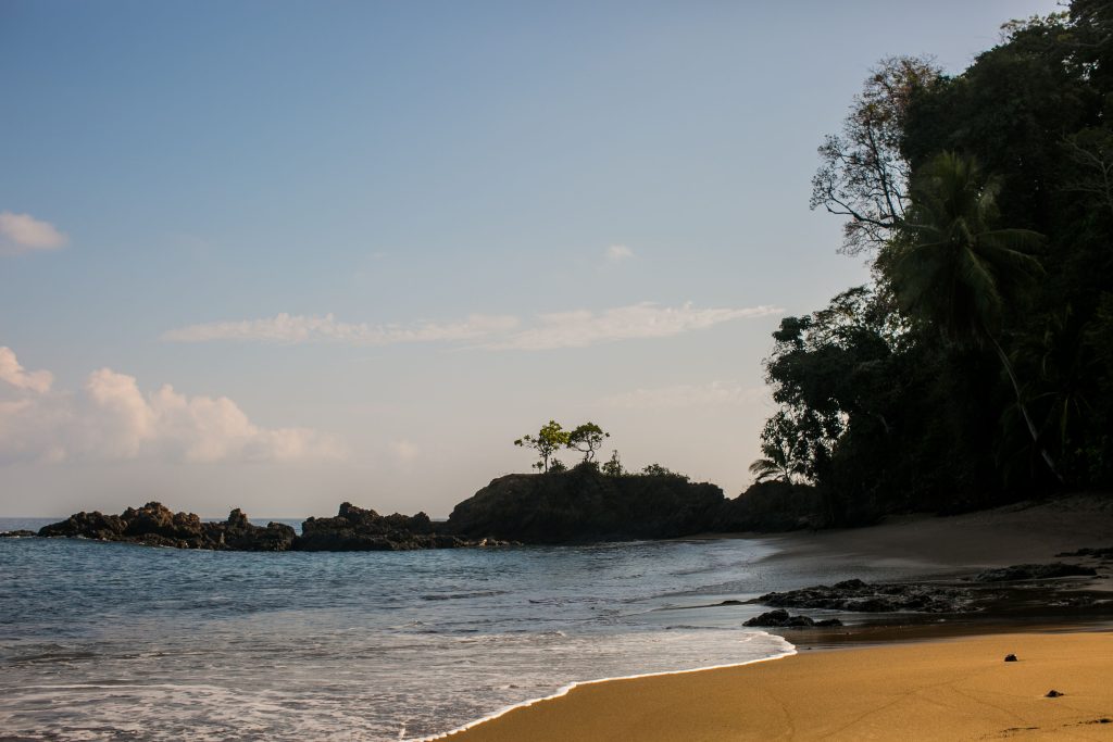 Beach on Caño Island, Costa Rica, with brown sand, tropical greenery, and clear Pacific waters.